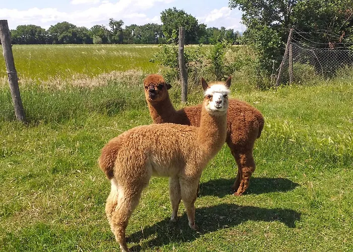 Cav D'italia E Falco Pescator 度假居 拉戈堡